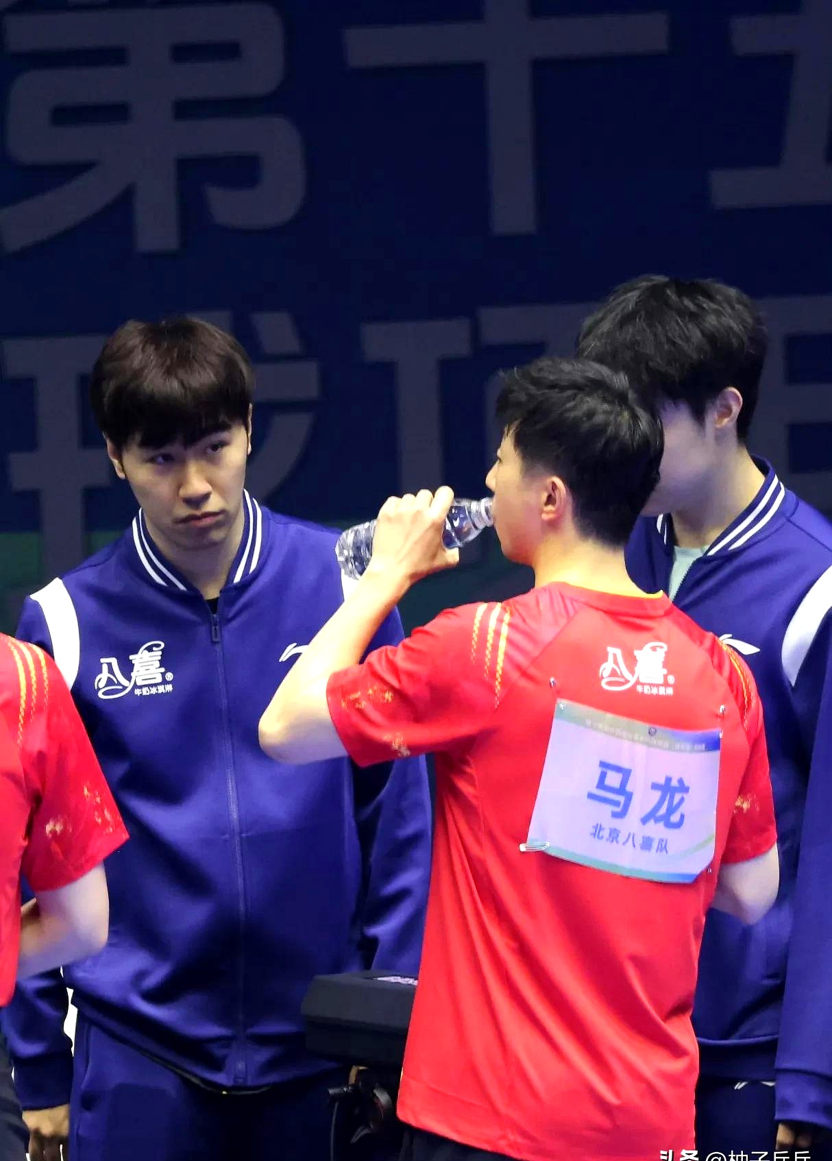 中国乒乓球队完胜英国乒乓球队,马龙送出助攻 中国乒乓球队完胜英国乒乓球队,马龙送出助攻