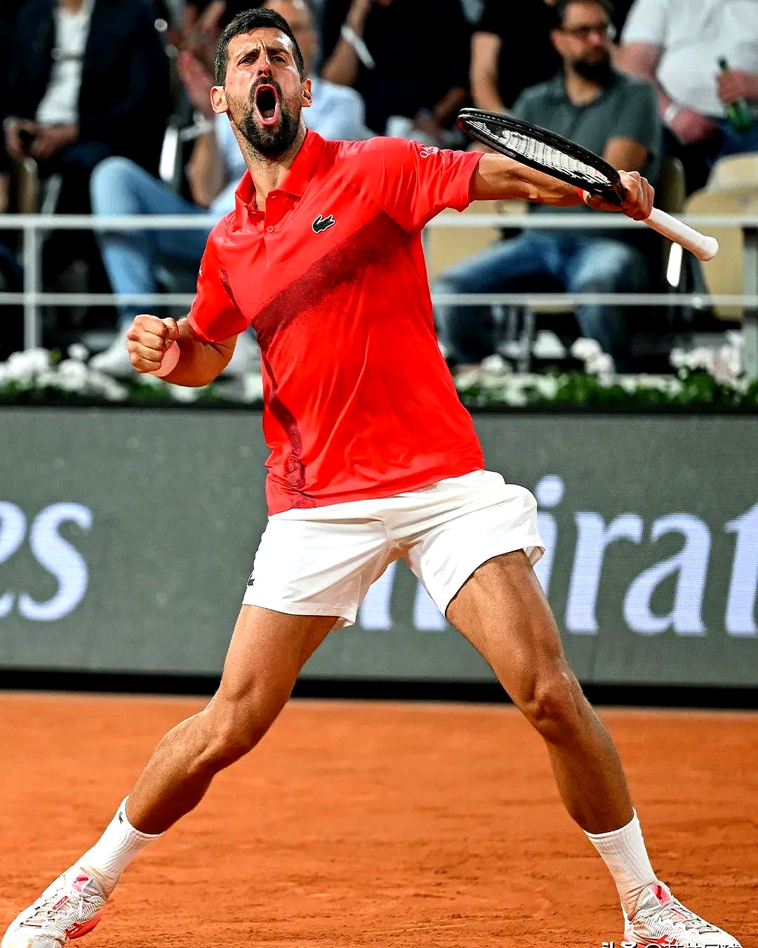 年终总决赛翻盘法网,德约科维奇惊艳四座 年终总决赛翻盘法网,德约科维奇惊艳四座