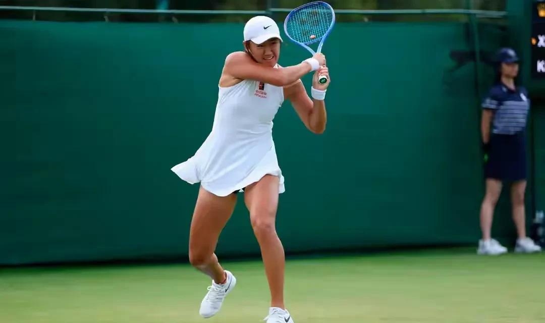 温网横扫法网,蒂姆高光表现 温网横扫法网,蒂姆高光表现