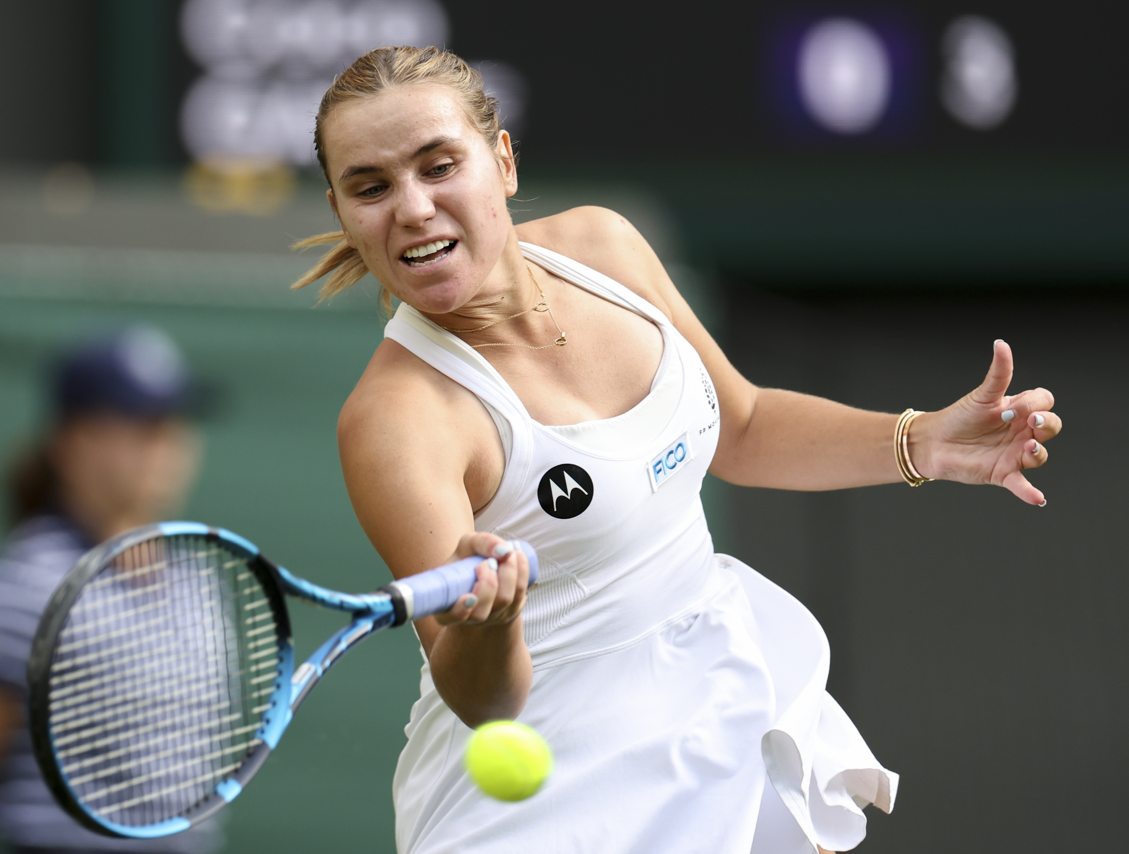 温网横扫法网,蒂姆高光表现 温网横扫法网,蒂姆高光表现