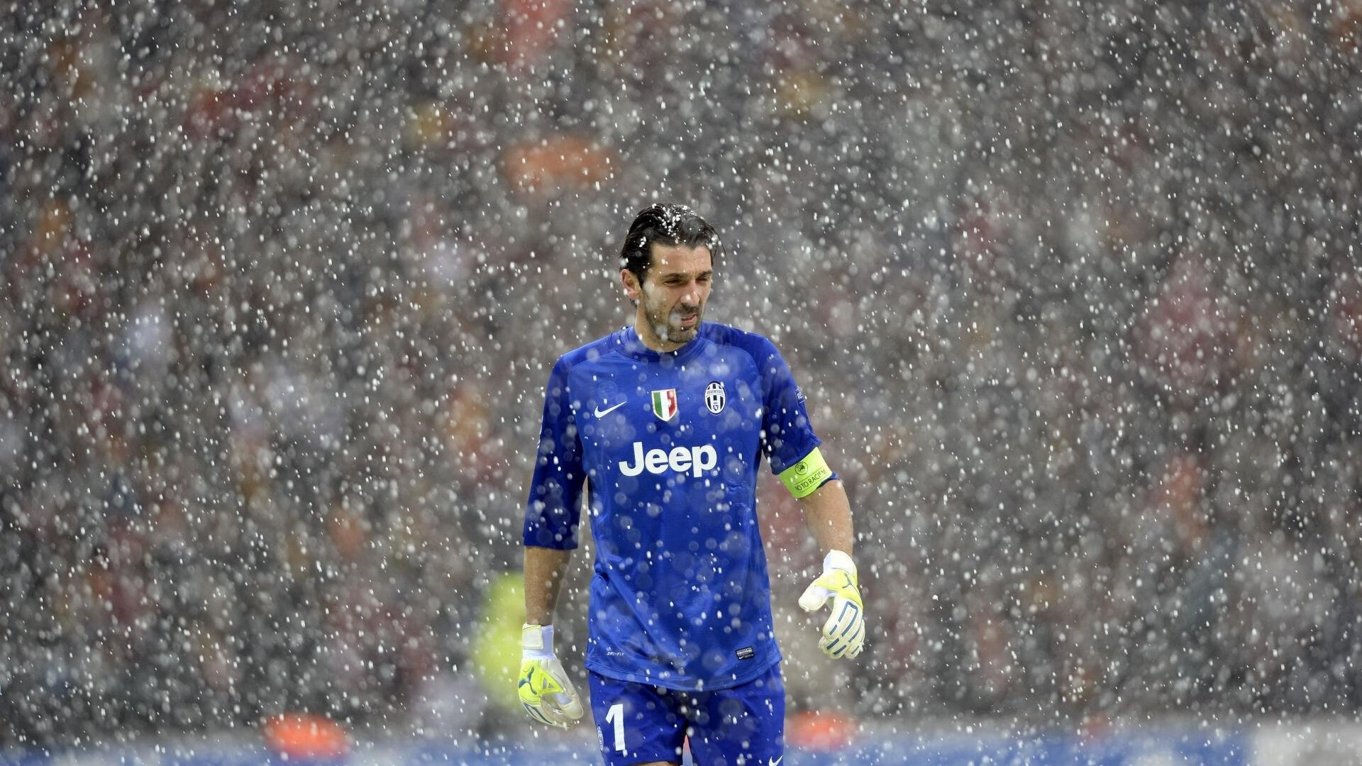 冠军之心与青年风暴，西亚卡姆的成熟与灰熊的狂飙